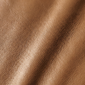Desert Skin